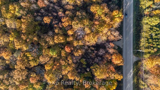 PTLT 17 Grey Road 17 N/A, Home with 0 bedrooms, 0 bathrooms and null parking in Georgian Bluffs ON | Image 13