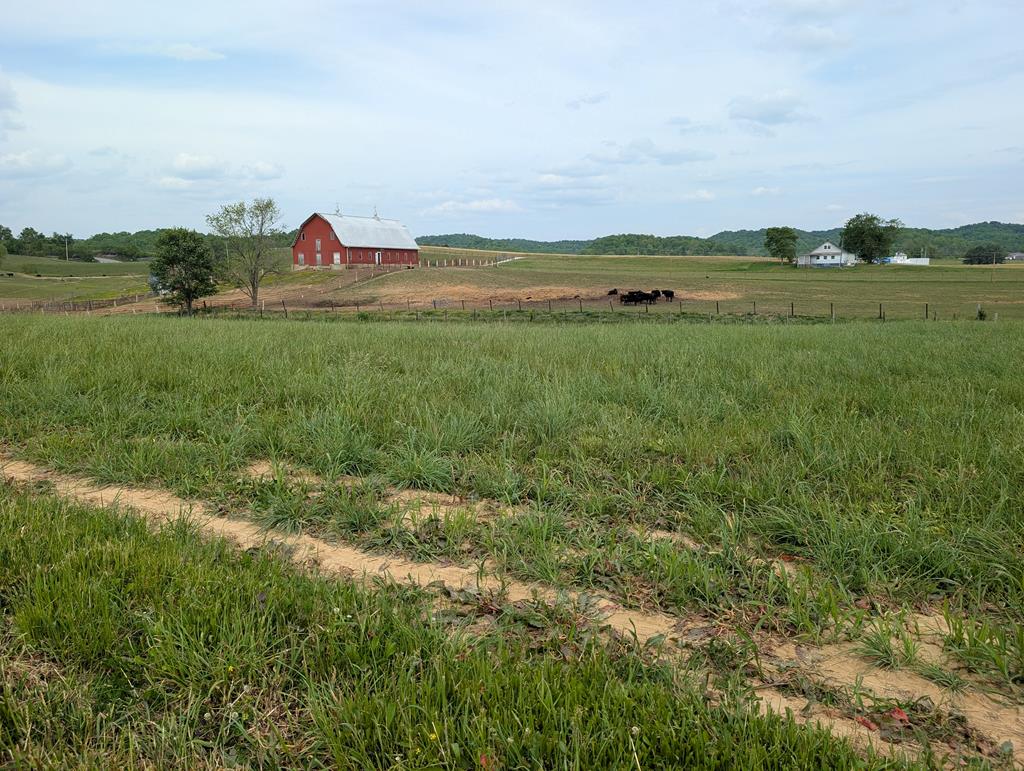 Land in Burkesville