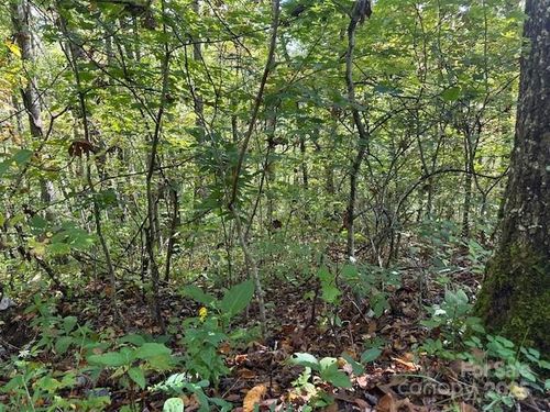 H16-H17 Shady Grove Rd, Tuckasegee, NC, 28783 | Card Image