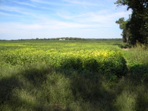 XXX Nutmeg Rd, Carthage, MO, 64836 | Card Image