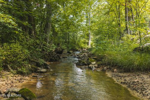0000 Snake Hollow Rd, Sneedville, TN, 37869 | Card Image