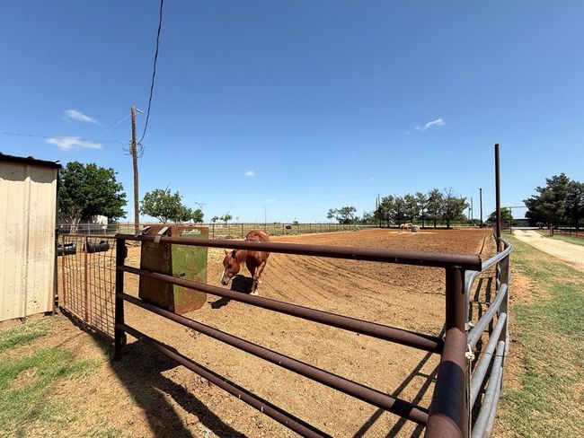 447 W Fm 1606, House other with 3 bedrooms, 2 bathrooms and 2 parking in Ira TX | Image 54
