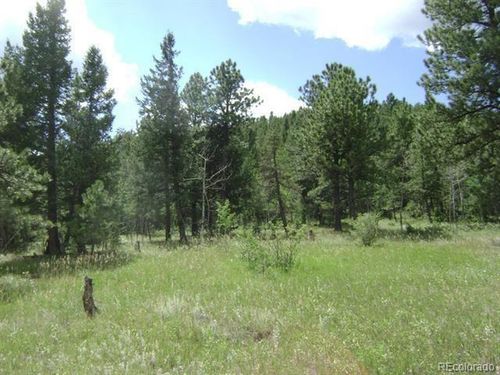 1504 County Road 43, Bailey, CO, 80421-1131 | Card Image