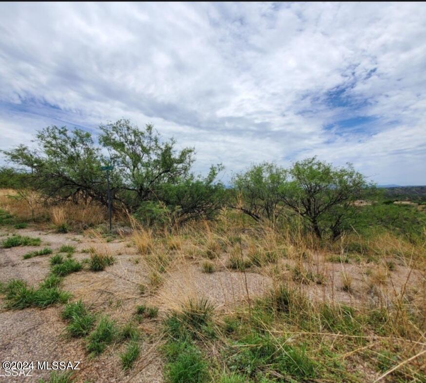Land in Rio Rico
