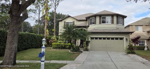 4217 Fishermans Lake Dr, Lutz, FL, 33558-9760 | Card Image