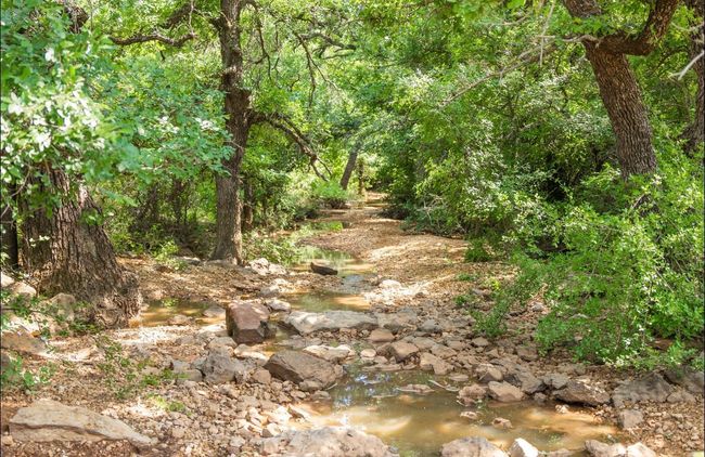 View of nature featuring a wooded view | Image 35