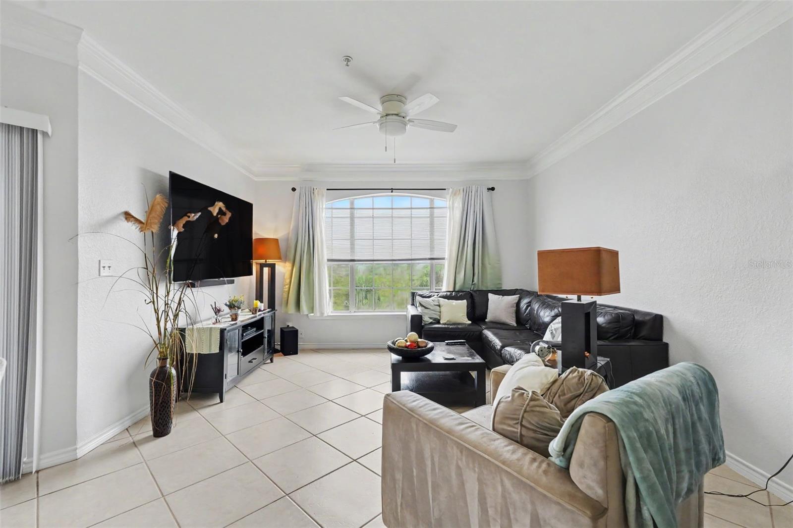 Residential in TAMPA 3