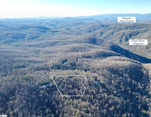 10 Rhetts Ridge Rd, Zirconia, NC, 28790-4760 | Card Image
