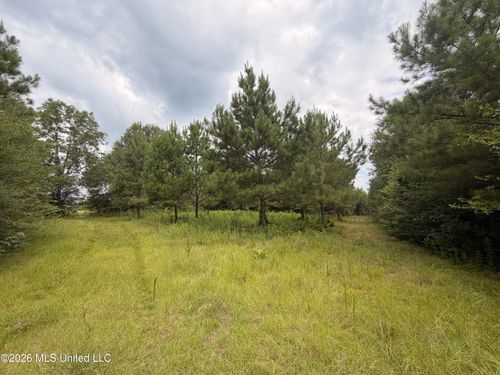 0 Bear Town Rd, Jayess, MS, 39641 | Card Image