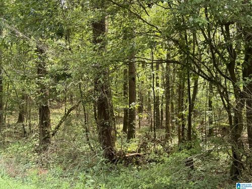95-acres-106 County Road 513, woodland, AL, 36280 | Card Image