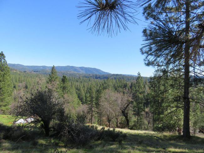 4196 Bald Mountain Rd, Home with 0 bedrooms, 0 bathrooms and null parking in West Point CA | Image 34