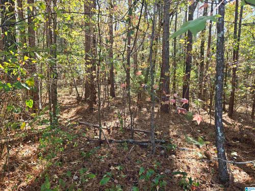 21-0 Maynor Ln, ONEONTA, AL, 35121 | Card Image