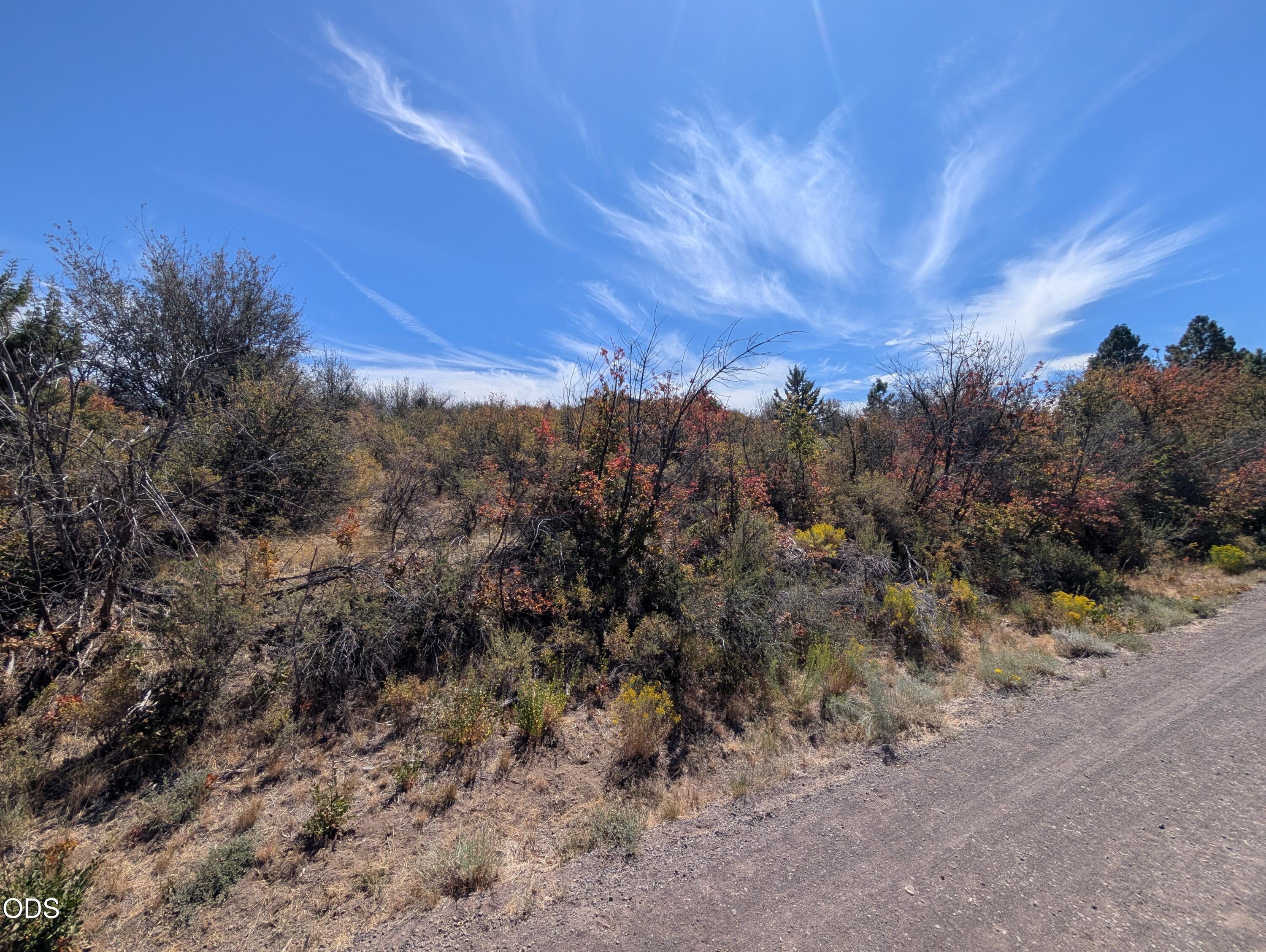 Land in Chiloquin 4