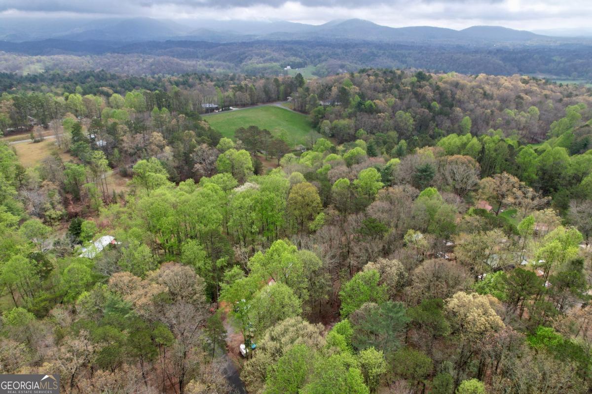 Residential in Ellijay 4