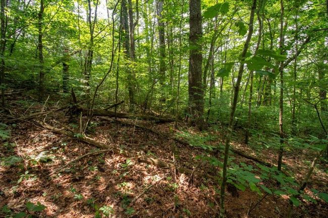Lot 28 Manor House Dr, Home with 0 bedrooms, 0 bathrooms and null parking in Laurel Fork VA | Image 8