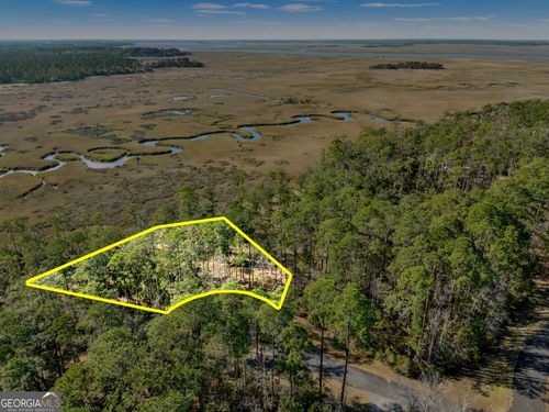 LOT 138 Sapelo Cir, Townsend, GA, 31331 | Card Image