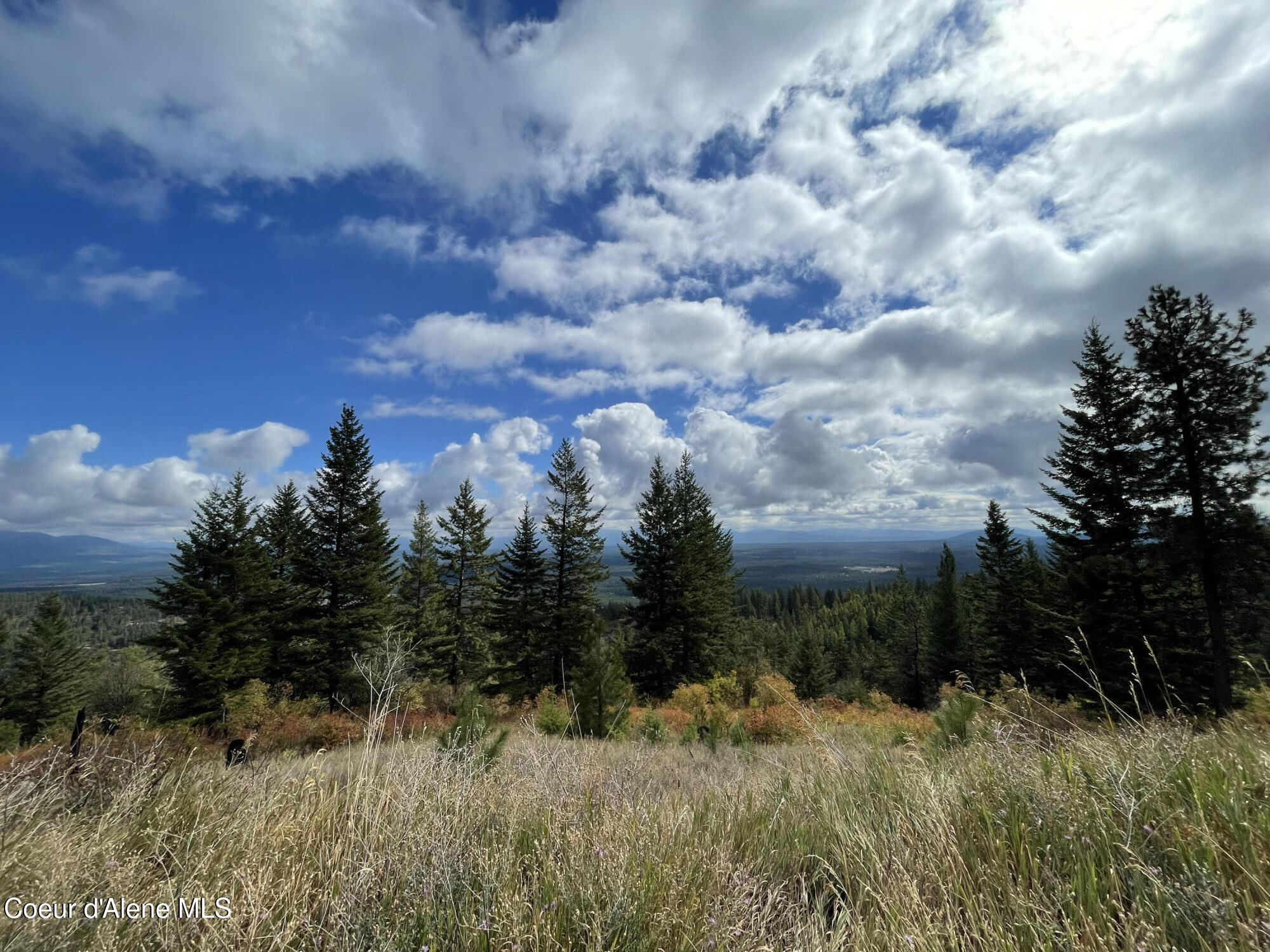 Land in Spirit Lake 5
