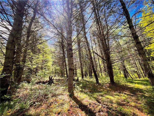 200 Straw Hill Rd, Home with 0 bedrooms, 0 bathrooms and null parking in Barton NY | Image 41