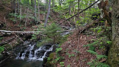 0 Center Pond Road, Home with 0 bedrooms, 0 bathrooms and null parking in Newark VT | Image 2