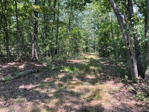 30 ACRES Elk Head Road, Bland, MO, 65014 | Card Image