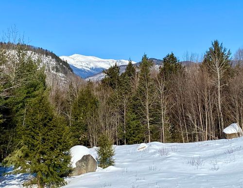 D14 Christmas Mountain Road, Bartlett, NH, 03812 | Card Image