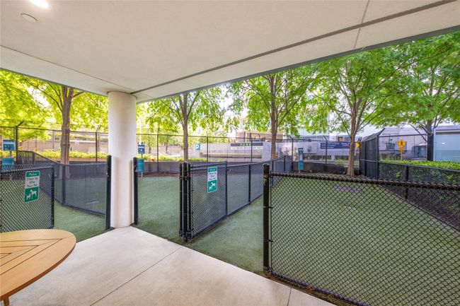 Dog Park | Image 34