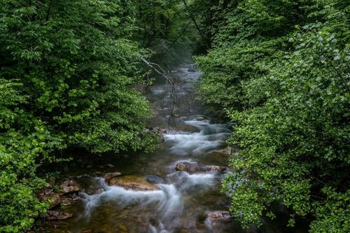 Lot 47 Fetterbush Ln, HINTON, VA, 22831 | Card Image