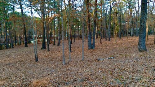 11e-TBD Hickory Trl, Flint, TX, 75762 | Card Image