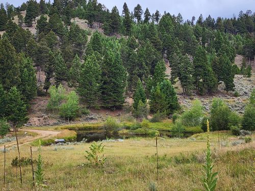 TBD Big Limber Gulch, Basin, MT, 59631 | Card Image