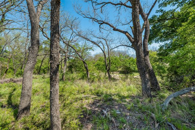 13000 Chalk Mountain Hwy, Home with 0 bedrooms, 0 bathrooms and null parking in Bluff Dale TX | Image 11