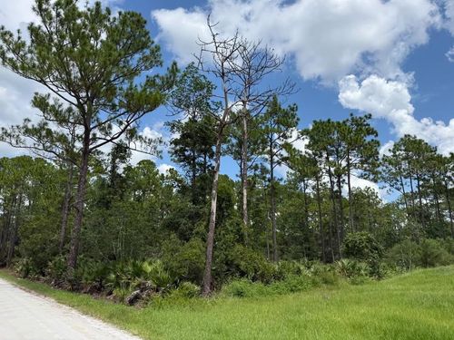 Unassigned East Parkway, DELAND, FL, 32724 | Card Image