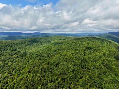 20 Woodbury Mountain Rd, Calais, VT, 05648-4402 | Card Image