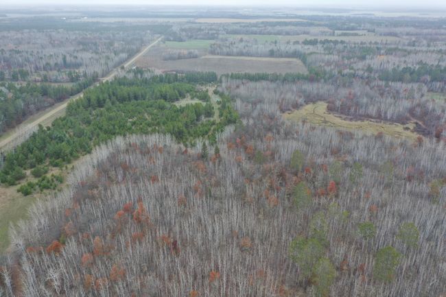 DJI_0605.JPG | Image 5