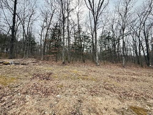 Lot 82 Green Cypress Lane, Shell Knob, MO, 65747 | Card Image