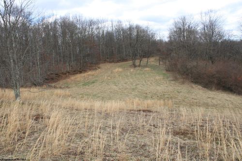 Lot 11 Cascade Rd, Masontown, WV, 26542 | Card Image