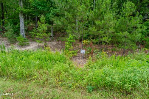 726 Twin Lakes Dr, Loudon, TN, 37774-2231 | Card Image