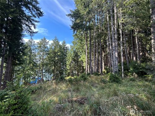 315 Herron Ln Nw, Lakebay, WA, 98349-8187 | Card Image