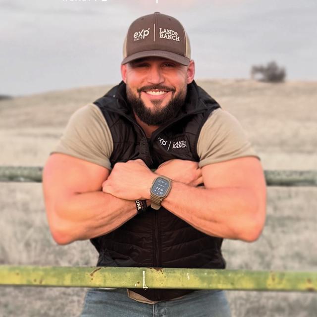 David Palma
