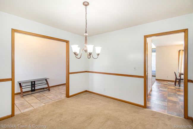 005_img_8065_792.jpg | Image 4