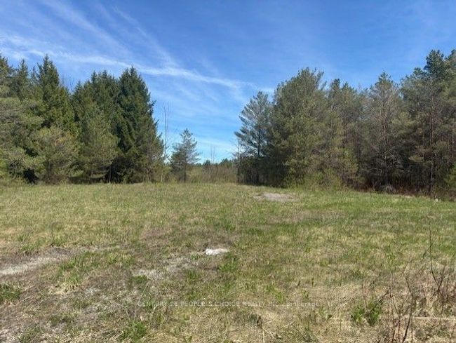 6081 Hwy 89, Clifford Road, Home with 0 bedrooms, 0 bathrooms and null parking in Minto ON | Image 12