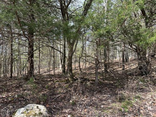 1 Off Dovewood Lane, Flippin, AR, 72634 | Card Image