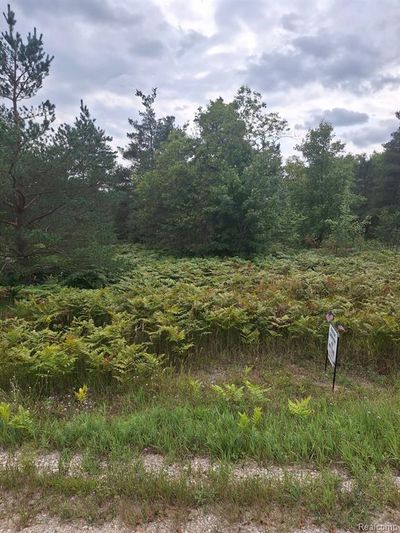 00 Pineview Drive Lot 185, Home with 0 bedrooms, 0 bathrooms and null parking in Mancelona Twp MI | Image 2