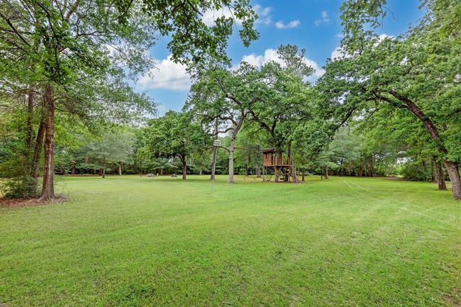 Wooded acreage | Image 49