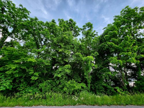 0 Ashley Ln, Dayton, TN, 37321 | Card Image