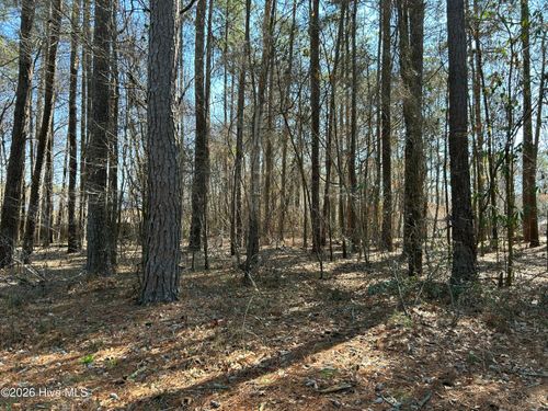 1502 Sac Trl, Edenton, NC, 27932-9765 | Card Image