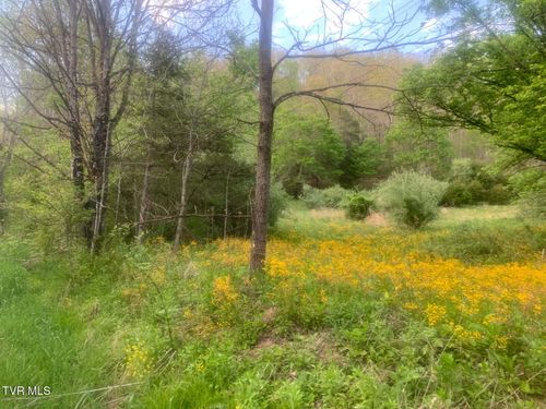 Tbd Osborne Ridge Road, Dungannon, VA, 24245 | Card Image