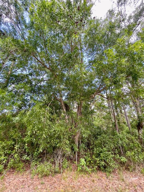 113th 113th Trail N, Jupiter, FL, 33478 | Card Image