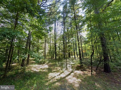 00 Scoonover Rd, CRAIGSVILLE, VA, 24430 | Card Image