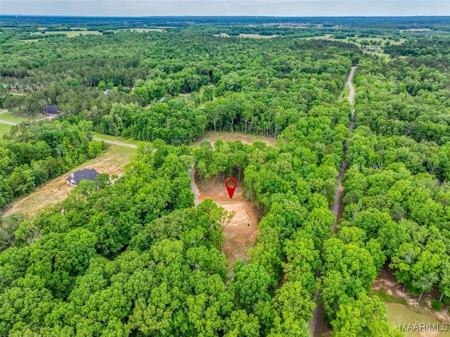 181 Hickory Hollow Ln, Home with 0 bedrooms, 0 bathrooms and null parking in Cecil AL | Image 10