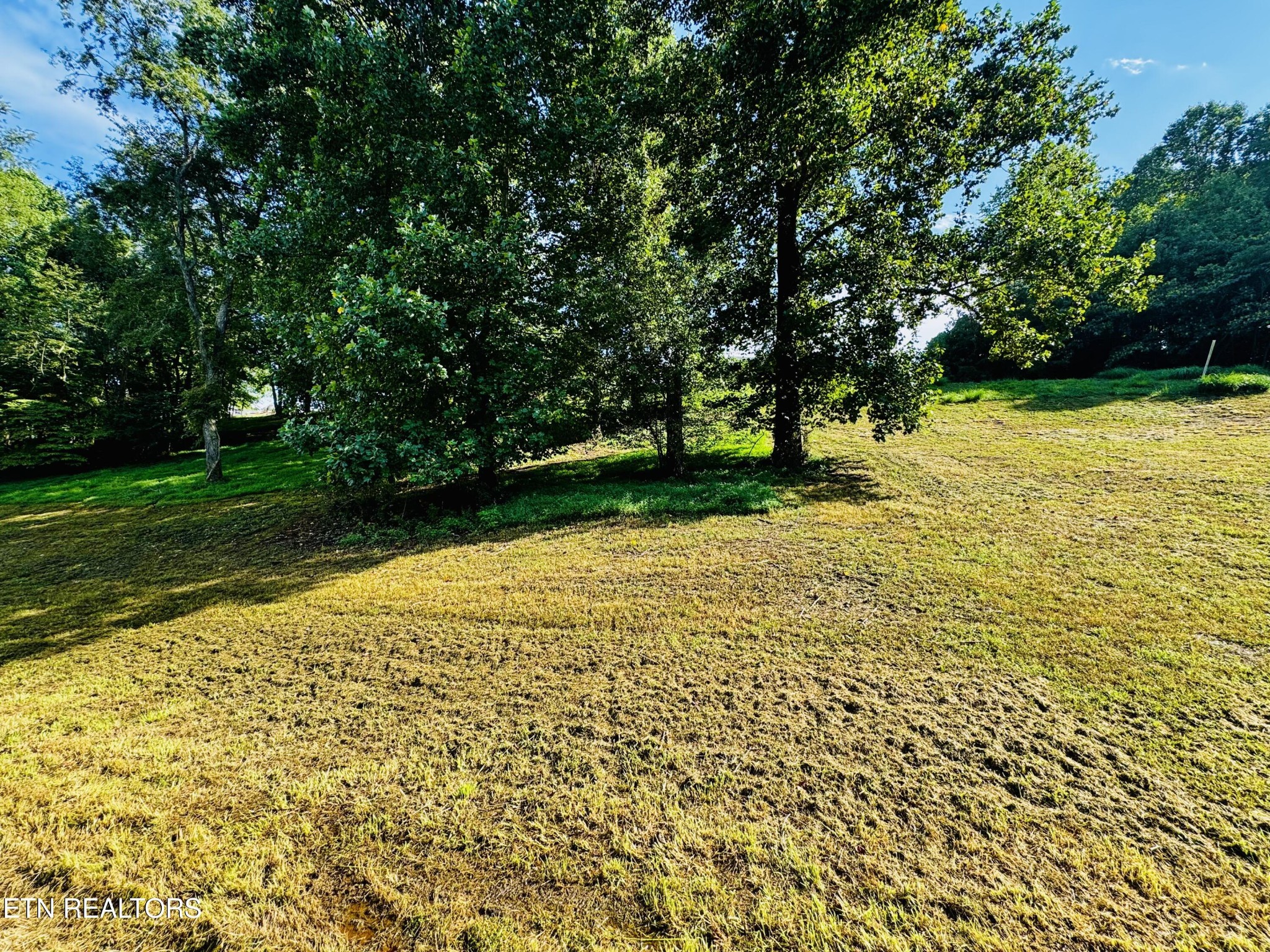 Land in Kodak 4